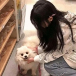 uu主机加速app官方下载