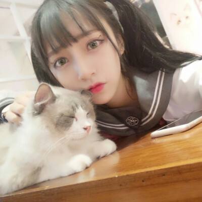 棉花糖舞曲游戏下载